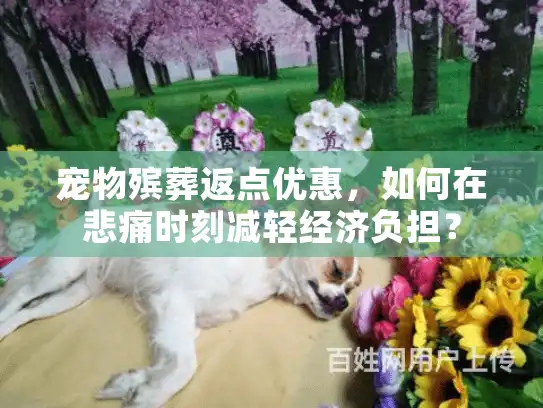 宠物殡葬返点优惠，如何在悲痛时刻减轻经济负担？
