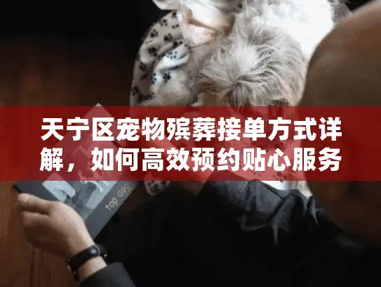 天宁区宠物殡葬接单方式详解，如何高效预约贴心服务