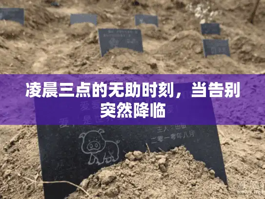 凌晨三点的无助时刻，当告别突然降临