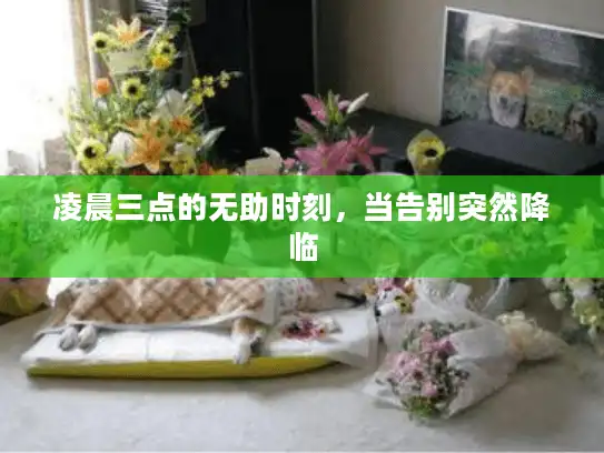 凌晨三点的无助时刻，当告别突然降临