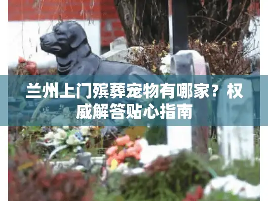 兰州上门殡葬宠物有哪家？权威解答贴心指南