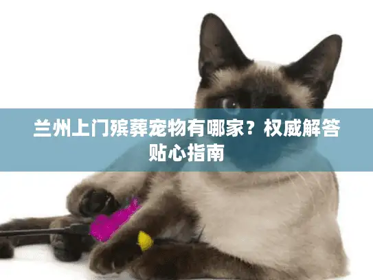 兰州上门殡葬宠物有哪家？权威解答贴心指南