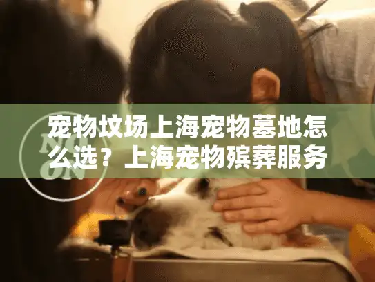 宠物坟场上海宠物墓地怎么选？上海宠物殡葬服务机构推荐及避坑指南
