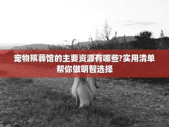 宠物殡葬馆的主要资源有哪些?实用清单帮你做明智选择