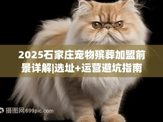 2025石家庄宠物殡葬加盟前景详解|选址+运营避坑指南
