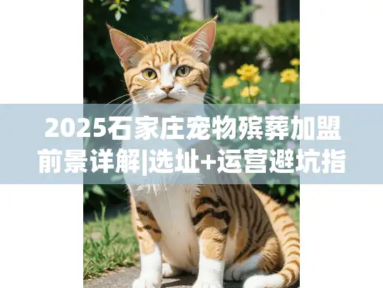 2025石家庄宠物殡葬加盟前景详解|选址+运营避坑指南