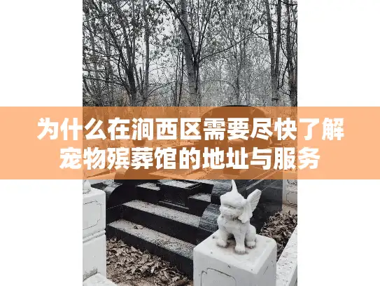 为什么在涧西区需要尽快了解宠物殡葬馆的地址与服务
