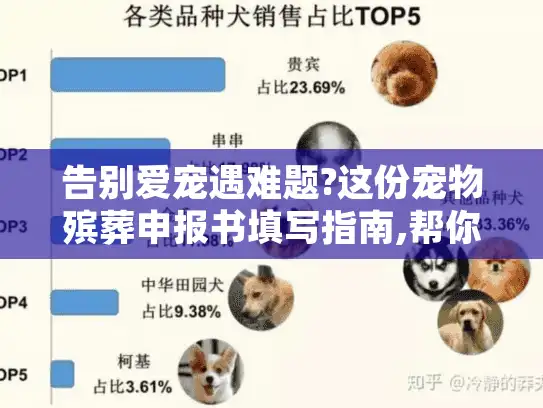 告别爱宠遇难题?这份宠物殡葬申报书填写指南,帮你避开所有雷区