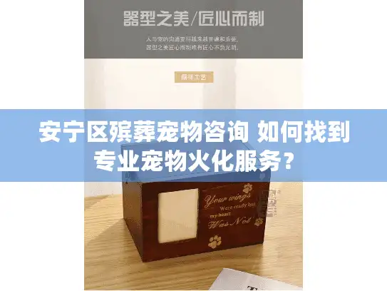 安宁区殡葬宠物咨询 如何找到专业宠物火化服务？