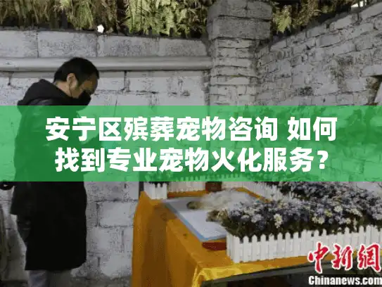 安宁区殡葬宠物咨询 如何找到专业宠物火化服务？