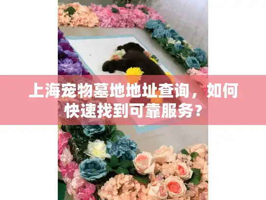 上海宠物墓地地址查询，如何快速找到可靠服务？