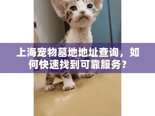 上海宠物墓地地址查询，如何快速找到可靠服务？