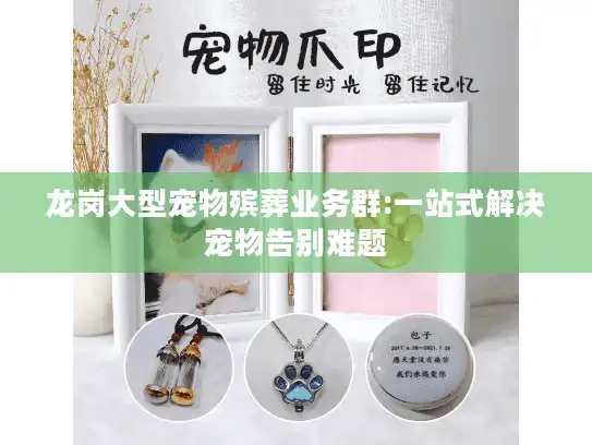 龙岗大型宠物殡葬业务群:一站式解决宠物告别难题