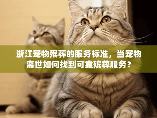 浙江宠物殡葬的服务标准，当宠物离世如何找到可靠殡葬服务？