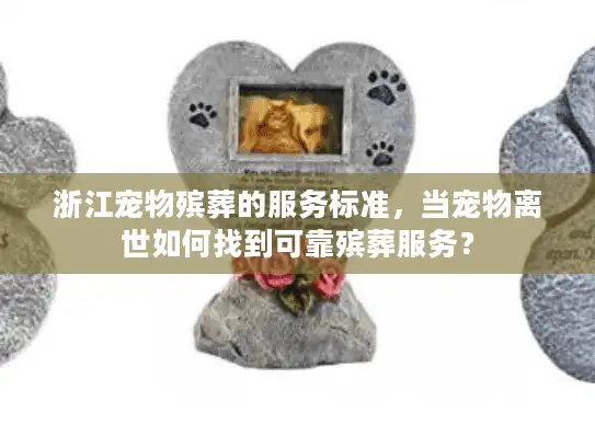 浙江宠物殡葬的服务标准，当宠物离世如何找到可靠殡葬服务？