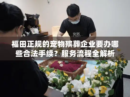 福田正规的宠物殡葬企业要办哪些合法手续？服务流程全解析