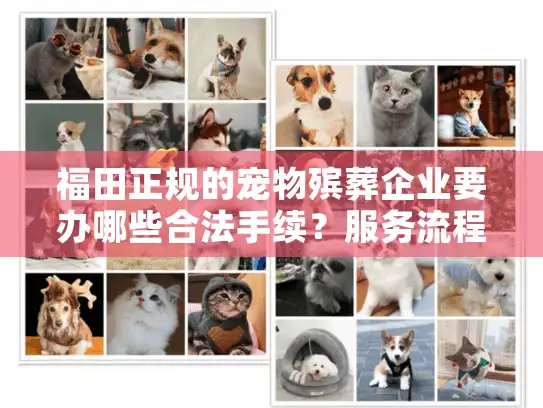 福田正规的宠物殡葬企业要办哪些合法手续？服务流程全解析