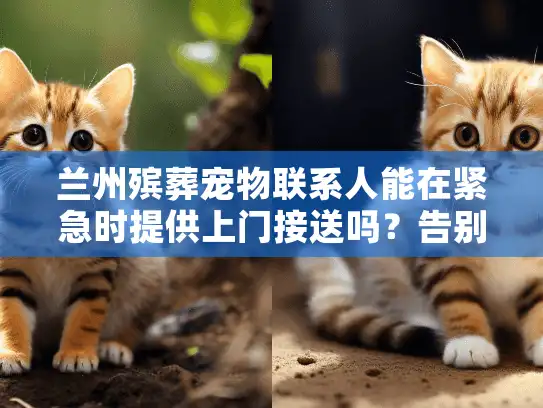 兰州殡葬宠物联系人能在紧急时提供上门接送吗？告别服务需准备什么？