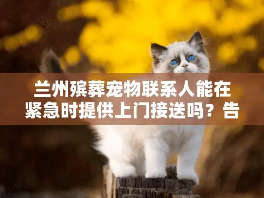 兰州殡葬宠物联系人能在紧急时提供上门接送吗？告别服务需准备什么？