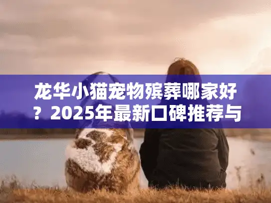 龙华小猫宠物殡葬哪家好？2025年最新口碑推荐与火化服务选择指南