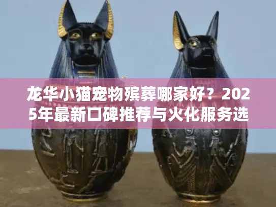 龙华小猫宠物殡葬哪家好？2025年最新口碑推荐与火化服务选择指南