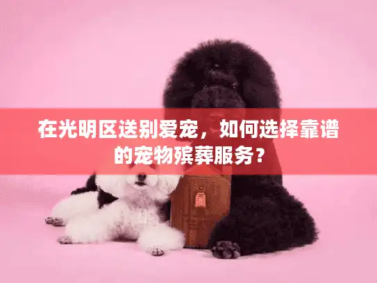 在光明区送别爱宠，如何选择靠谱的宠物殡葬服务？