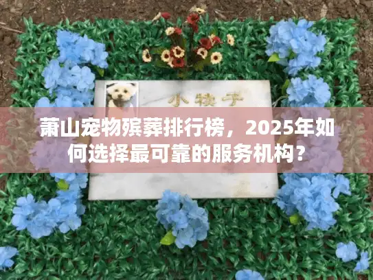 萧山宠物殡葬排行榜，2025年如何选择最可靠的服务机构？