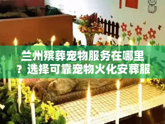 兰州殡葬宠物服务在哪里？选择可靠宠物火化安葬服务的完整指南
