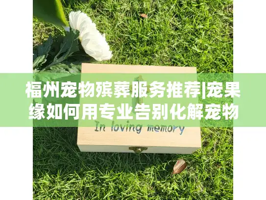 福州宠物殡葬服务推荐|宠果缘如何用专业告别化解宠物家长心碎时刻?