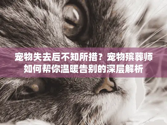 宠物失去后不知所措？宠物殡葬师如何帮你温暖告别的深层解析