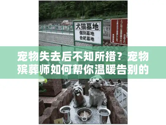 宠物失去后不知所措？宠物殡葬师如何帮你温暖告别的深层解析