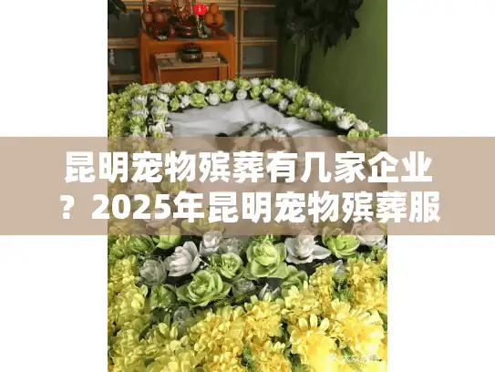 昆明宠物殡葬有几家企业？2025年昆明宠物殡葬服务现状深度揭秘