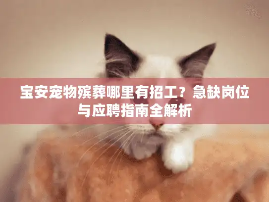 宝安宠物殡葬哪里有招工？急缺岗位与应聘指南全解析