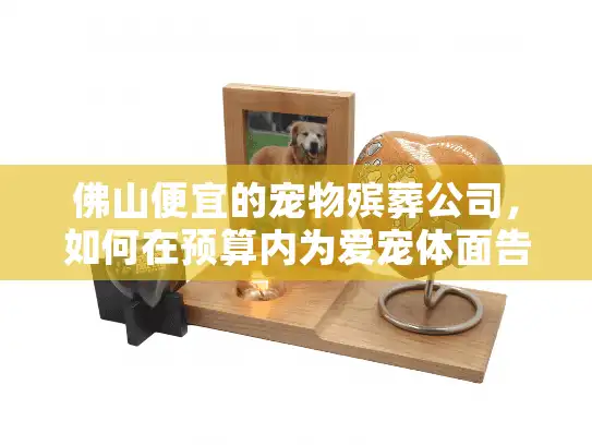 佛山便宜的宠物殡葬公司，如何在预算内为爱宠体面告别