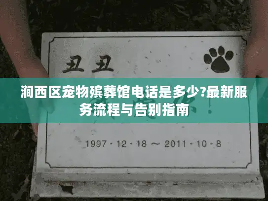 涧西区宠物殡葬馆电话是多少?最新服务流程与告别指南