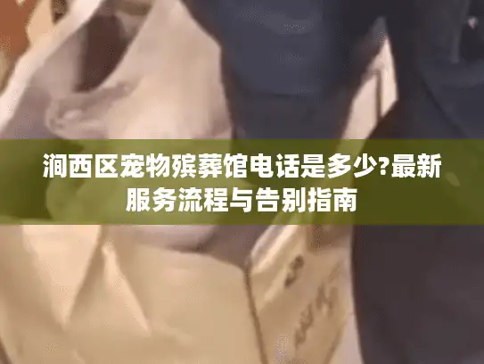 涧西区宠物殡葬馆电话是多少?最新服务流程与告别指南