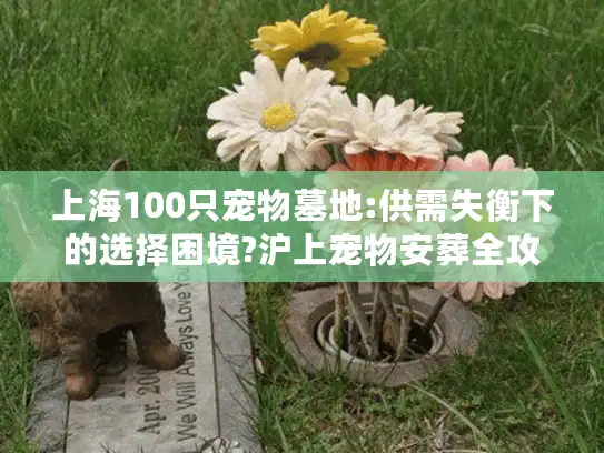 上海100只宠物墓地:供需失衡下的选择困境?沪上宠物安葬全攻略