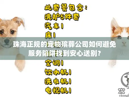 珠海正规的宠物殡葬公司如何避免服务陷阱找到安心送别？