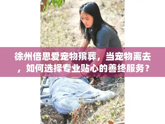 徐州倍思爱宠物殡葬，当宠物离去，如何选择专业贴心的善终服务？