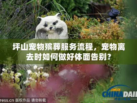 坪山宠物殡葬服务流程，宠物离去时如何做好体面告别？