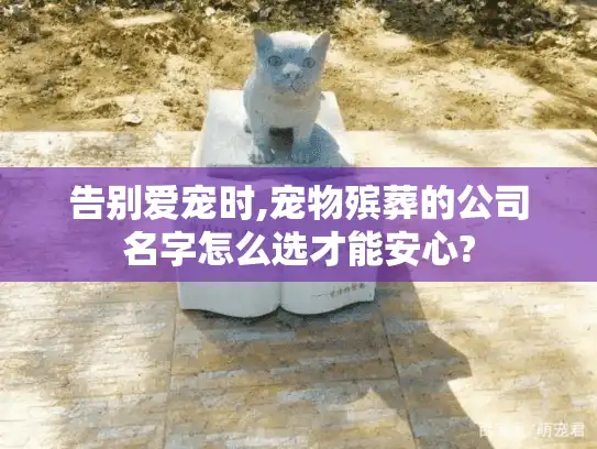 告别爱宠时,宠物殡葬的公司名字怎么选才能安心?