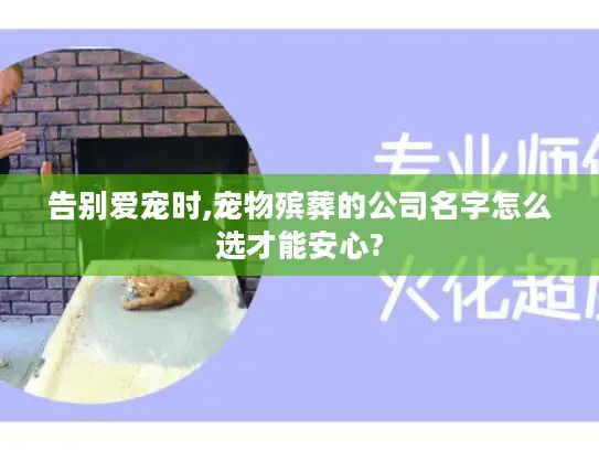 告别爱宠时,宠物殡葬的公司名字怎么选才能安心?