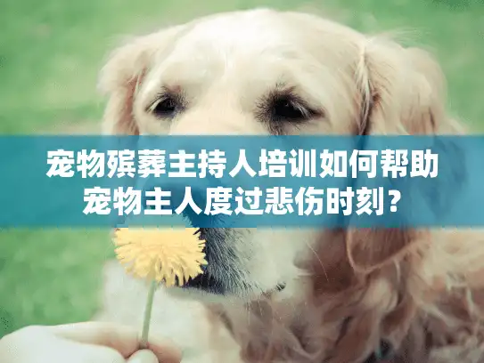 宠物殡葬主持人培训如何帮助宠物主人度过悲伤时刻？
