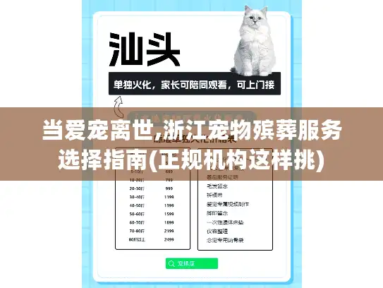 当爱宠离世,浙江宠物殡葬服务选择指南(正规机构这样挑)