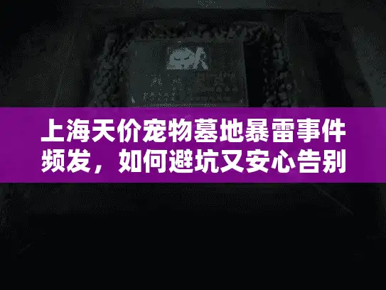 上海天价宠物墓地暴雷事件频发，如何避坑又安心告别？