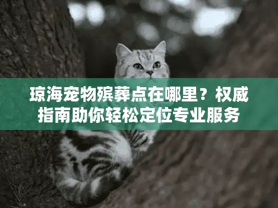 琼海宠物殡葬点在哪里？权威指南助你轻松定位专业服务