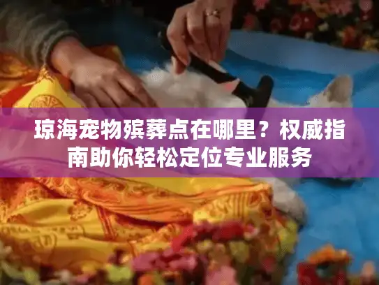 琼海宠物殡葬点在哪里？权威指南助你轻松定位专业服务