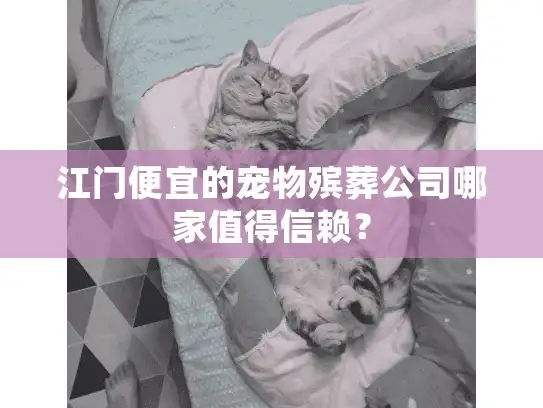 江门便宜的宠物殡葬公司哪家值得信赖？