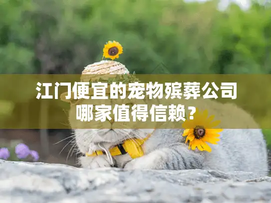 江门便宜的宠物殡葬公司哪家值得信赖？