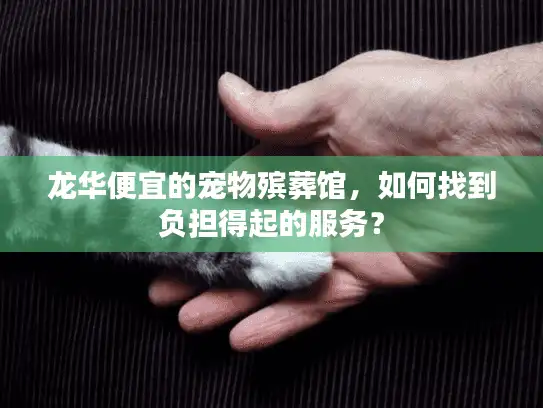 龙华便宜的宠物殡葬馆，如何找到负担得起的服务？